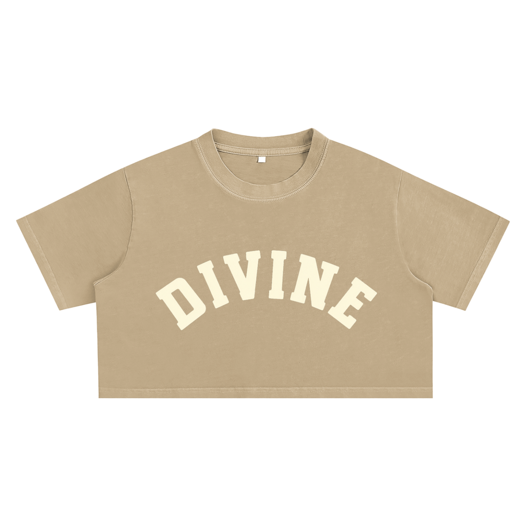 Shrimp Skin Divine Snow Washed Crop Top