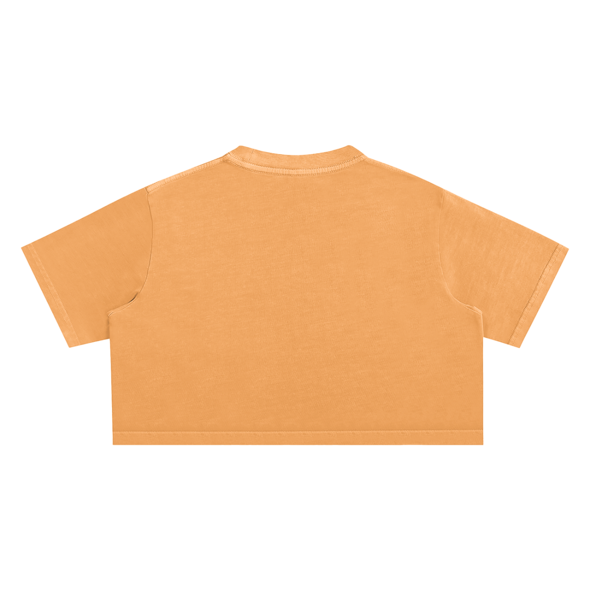 Divine Snow Washed Crop Top