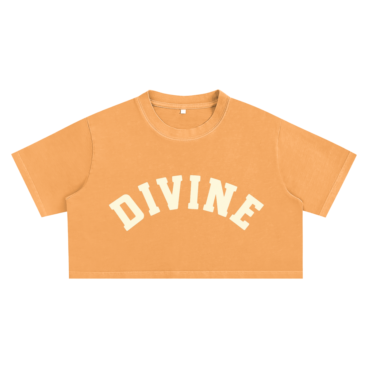 Medium Gray Divine Snow Washed Crop Top