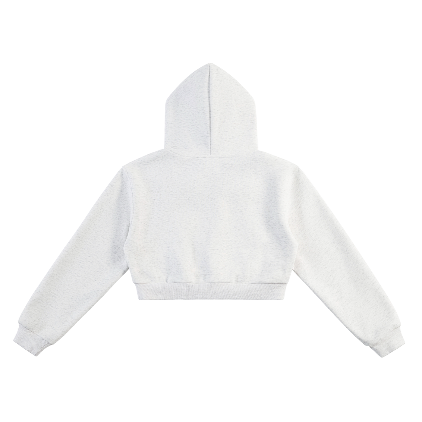 Back view of Floral Residue Cropped Hoodie in light grey